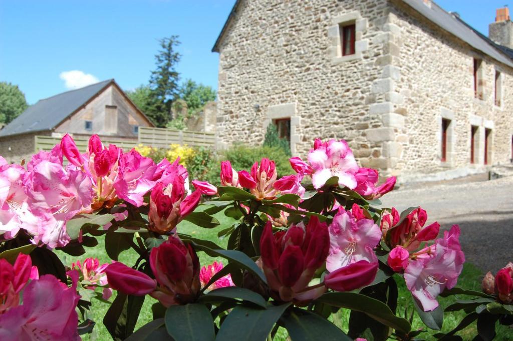 Maison D'Hotes & Gites Domaine De La Garaye Dinan Luaran gambar